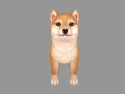 Cartoon pet puppy - Shibainu - baby dog Low-poly 3D model