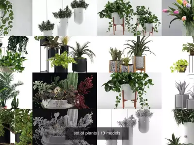 set of plants 3D Model Collection