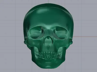 Skull 12 3D print model