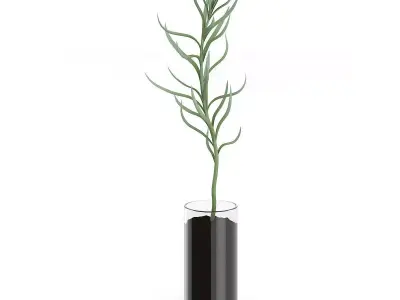 Plant in Glass Pot 3D model