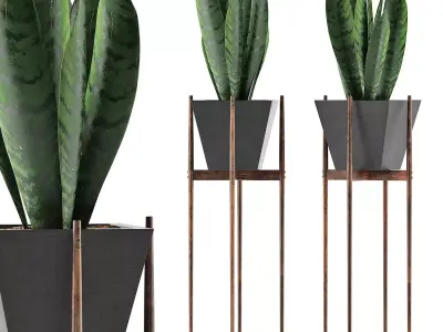 Plants Collection 99 3D model