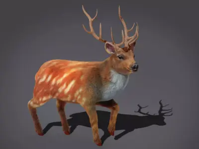 Fur Rigged Deer Stag Low-poly 3D model