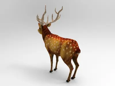 Game Ready Deer Rigged Low-poly 3D model