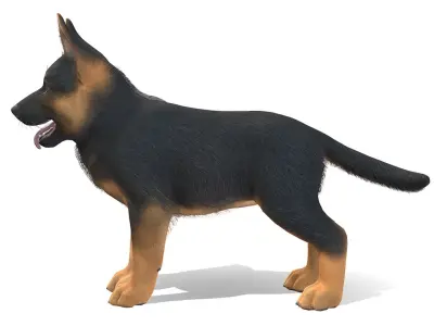 Puppy - Shephed Low-poly 3D model