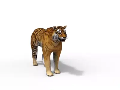 Animated Tiger Low-poly 3D model