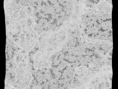 520-RockPanel piece of rock on wall 3D model