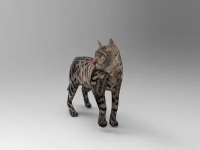 3d Cat Animated Model low poly   Low-poly 3D model