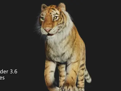 rigged tiger wild cat beast  Low-poly 3D model