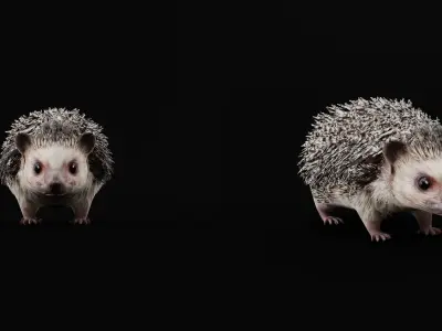 African Pygmy Hedgehog Low-poly 3D model