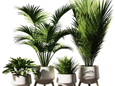 Indoor Plant Set V37 3D model