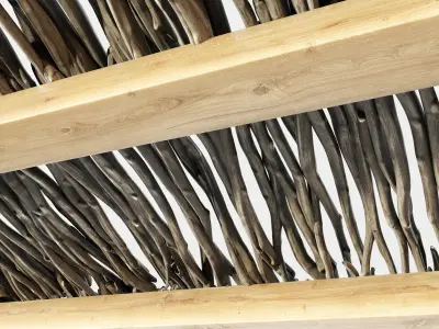 Ceiling wood old sang branch n1 3D model