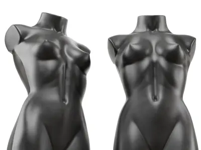 Female demonstration mannequin 3D model