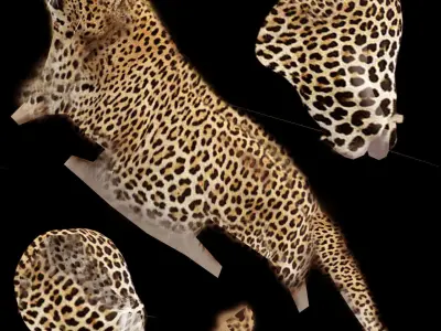 Leopard Model Rigged Low-poly 3D model