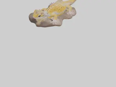Leopard Gecko lounging model Low-poly 3D model
