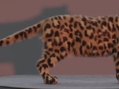 Jaguar leopard puma RIGGED and has FUR 3D model