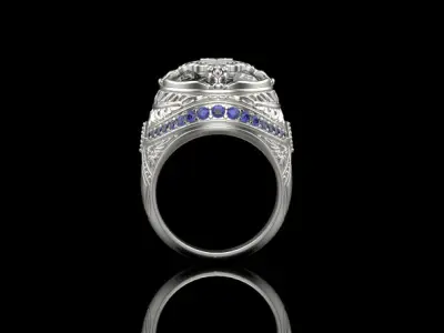 Ring 11473 3D print model