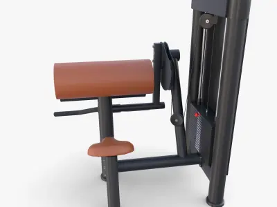 Curl machine 3D model