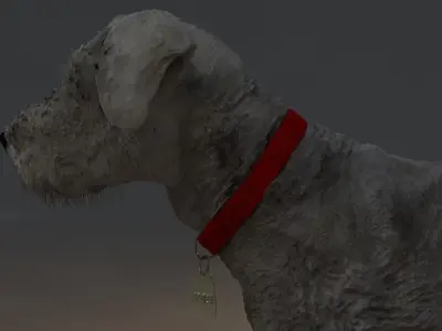 Miniature Schnauzer 3D model