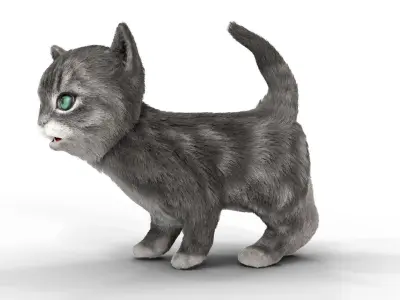 Fur Cute Gray Cat Kitten Animated Low-poly 3D model