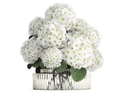 Beautiful  bouquet decoration glass vase white hydrangea 603 3D model