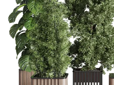 stand plant box  collection Indoor plant 242 wooden 3D model