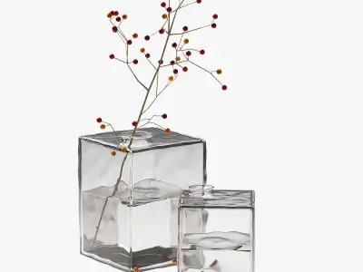 Square Glass Vase with berry branch home decor 3D model