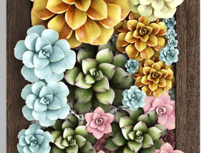 Echeveria Vertical garden 3D model