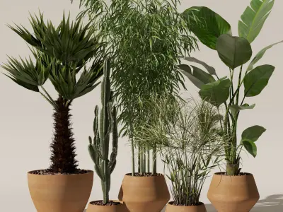 Plants collection 129 3D model