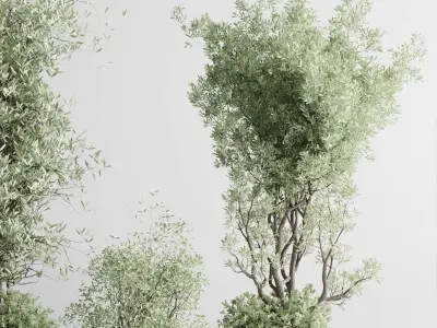 Indoor plant set 332 plant tree vase dirty concrete Low-poly 3D model