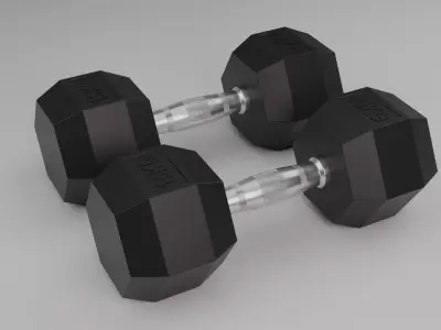 Dumbbell Weights Free 3D model