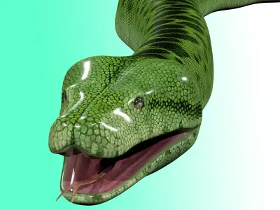 Green Python Snake 3D model