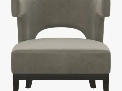 Brabbu KANSAS 3D model