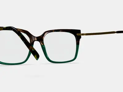 Vela Eyeglasses in Aventurine Tortoise with Polished Gold 3D model
