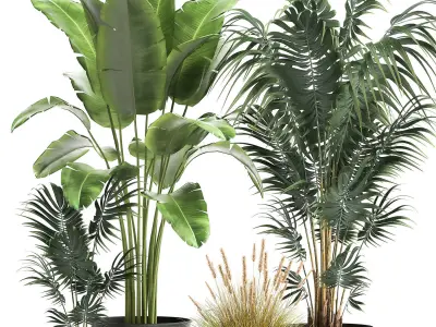 Houseplants in a flowerpot for the interior 964 3D model