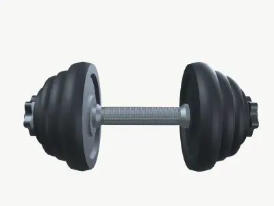 Exercise Metal Dumbbells  Low-poly 3D model