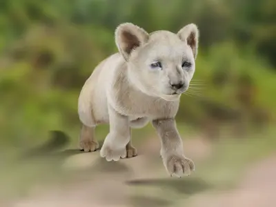 Fur White Lion Cub Rigged in Blender Low-poly 3D model