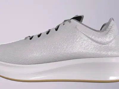 NIKE ZOOM FLY SHOES PBR Low-poly 3D model