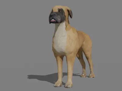 GREAT DANE Low-poly 3D model
