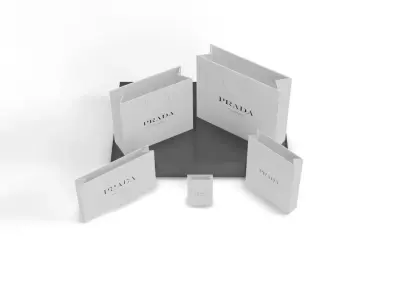 Prada Shopping Bag - Luxury 3D Packaging Model Low-poly 3D model
