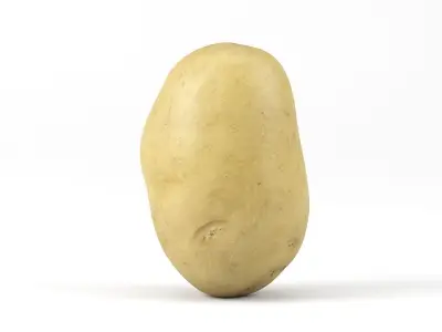 Photorealistic Potato 3D Scan 3D model