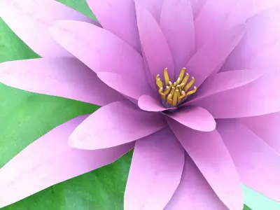 Water Lily Low-poly 3D model