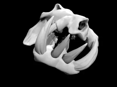 Hippo Skull Low-poly 3D model purchase