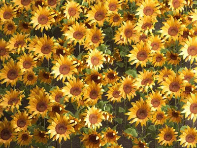 Sunflower field 3D model