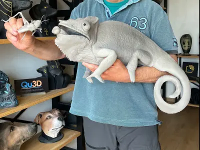 Panther Chameleon - Furcifer pardalis V1 3D print model