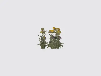 Wildflowers Low-poly 3D model