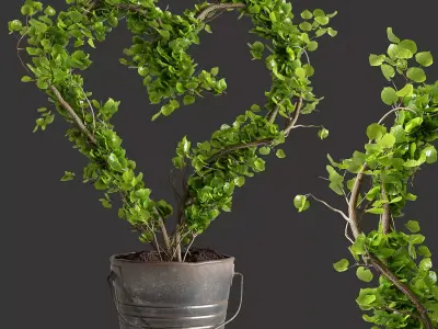 Ivy Heartshape Plant 3D model