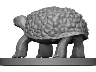 Tortoise 3D model