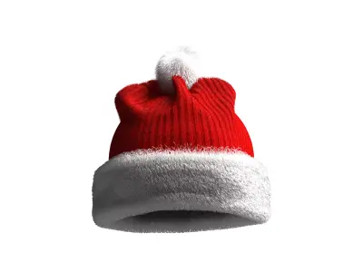Christmas Beanie hat 3D model