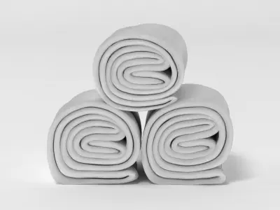Towel Rolls 3D model