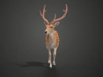 Male Sika Deer VFX Grace 3D model